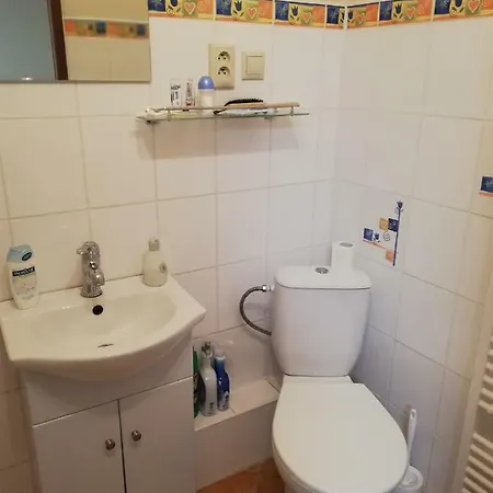 Center 게스트하우스