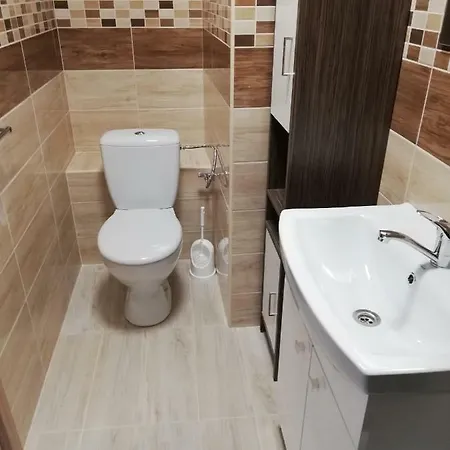 Center 게스트하우스 3*